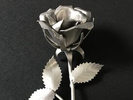 Rose klein 13cm