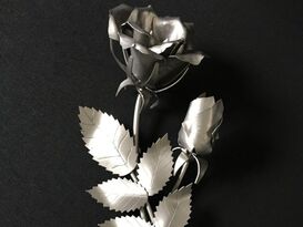 Rose klein 20cm